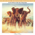 Elvis Costello Armed Force