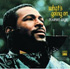 Marvin Gaye whats goin on